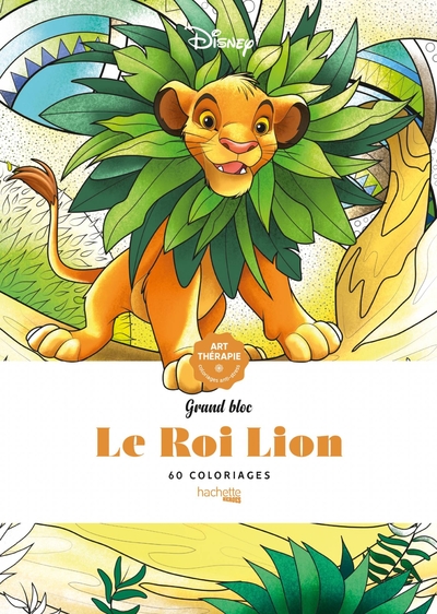 Image de Grand bloc coloriages Roi Lion (classique)
