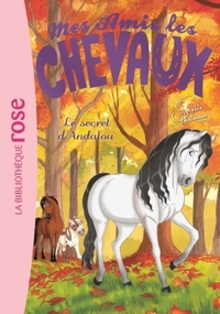 Image de Mes amis les chevaux 19 - Le secret d'Andalou