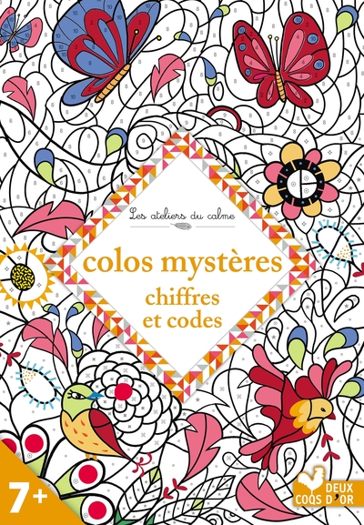 Picture of Colos mystères - chiffres et codes