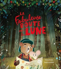 Image de La fabuleuse route vers la Lune