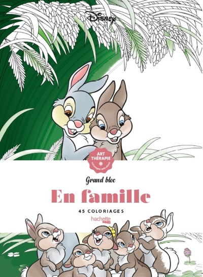 Picture of Disney En famille