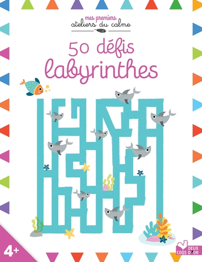 Image de 50 défis labyrinthes