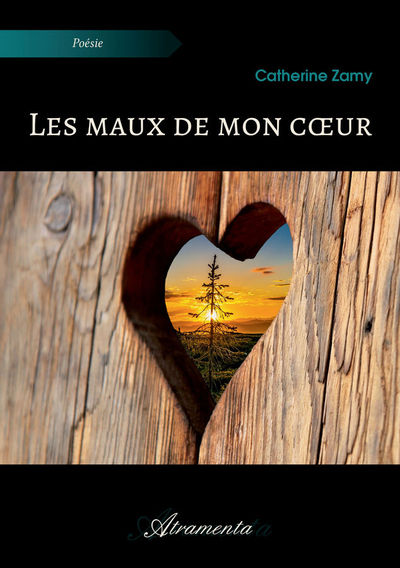 Image de Les maux de mon cœur