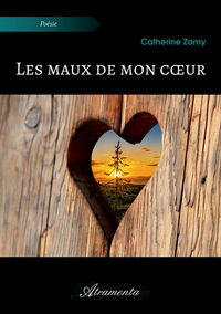 Image de Les maux de mon cœur