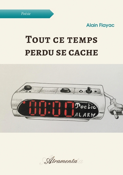 Picture of Tout ce temps perdu se cache