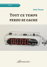 Picture of Tout ce temps perdu se cache