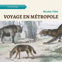 Picture of Voyage en métropole
