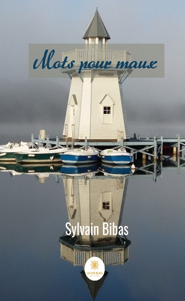 Image de Mots pour maux