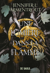 Image de La Chair et le Feu (broché) - Tome 02 Une Lumière dans la flamme