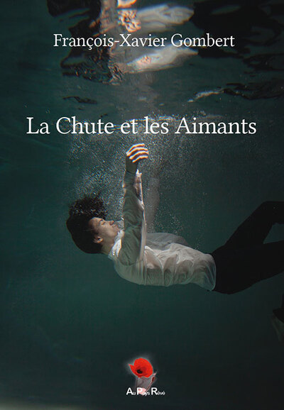 Image de La Chute et les Aimants