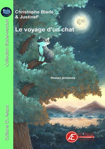 Picture of Le voyage d'un chat - livre jeunesse