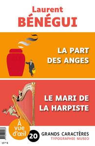 Picture of OFFRE DECOUVERTE LAURENT BENEGUI (LA PART DES ANGES – LE MARI DE LA HARPISTE)