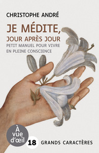 Picture of JE MEDITE JOUR APRES JOUR