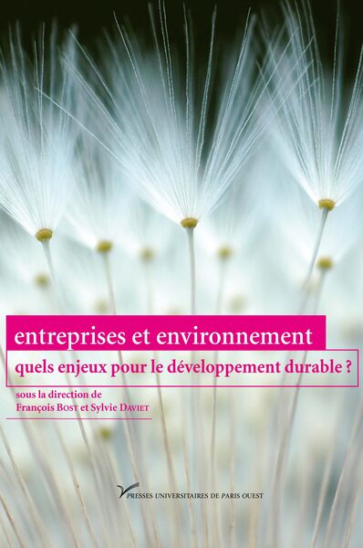 Picture of Entreprises et environnement, quels enjeux pour le développement durable ?