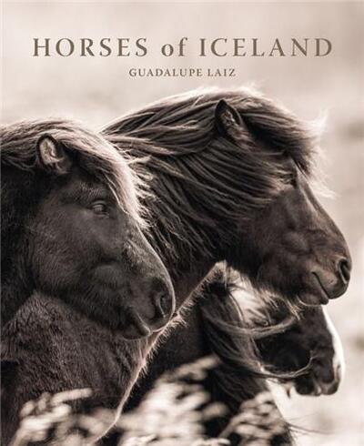 Picture of Guadalupe Laiz Horses of Iceland /anglais