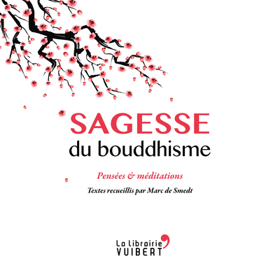 Image de Sagesse du bouddhisme
