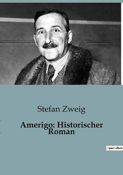 Picture of Amerigo: Historischer Roman