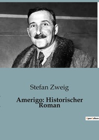 Picture of Amerigo: Historischer Roman