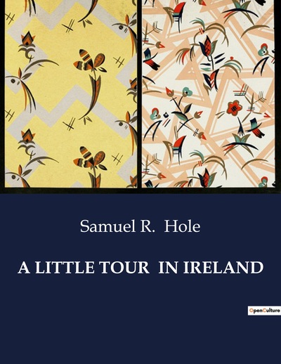 Picture of A LITTLE TOUR  IN IRELAND