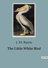 Picture of The Little White Bird