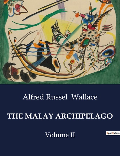 Picture of THE MALAY ARCHIPELAGO