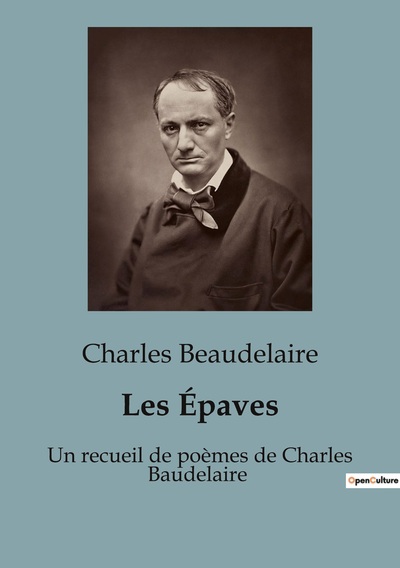 Picture of Les Épaves