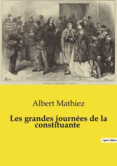 Image de Les grandes journées de la constituante
