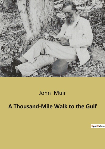 Picture of A Thousand-Mile Walk to the Gulf
