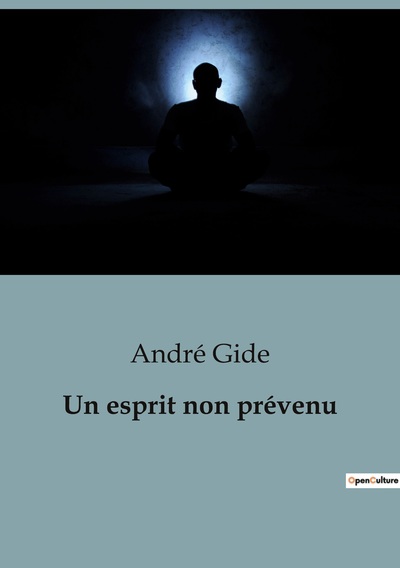 Picture of Un esprit non prévenu