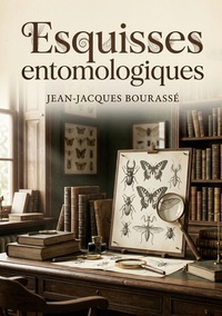 Image de Esquisses entomologiques