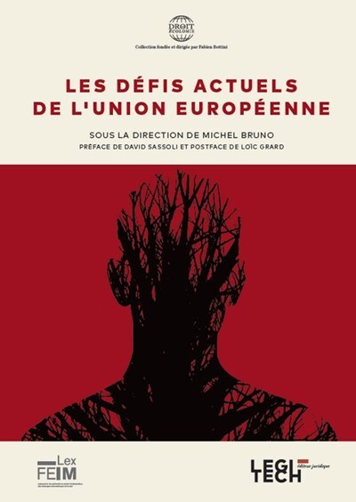 Picture of Les défis actuels de l'Union européenne