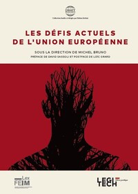 Picture of Les défis actuels de l'Union européenne