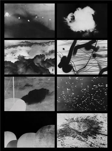 Picture of OODA Loops /anglais