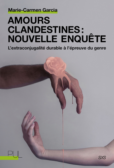 Image de Amours clandestines : nouvelle enquête