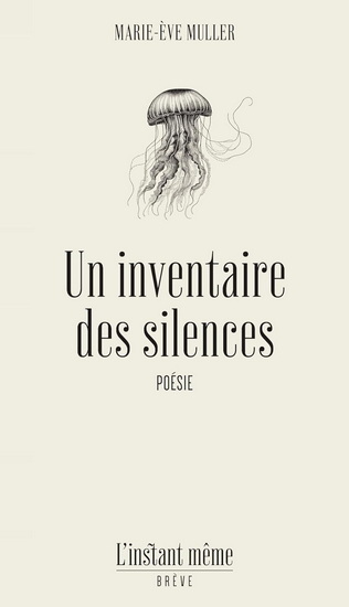 Image de UN INVENTAIRE DES SILENCES