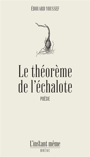 Image de LE THEOREME DE L'ECHALOTE