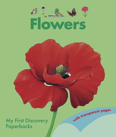 Picture of Flowers