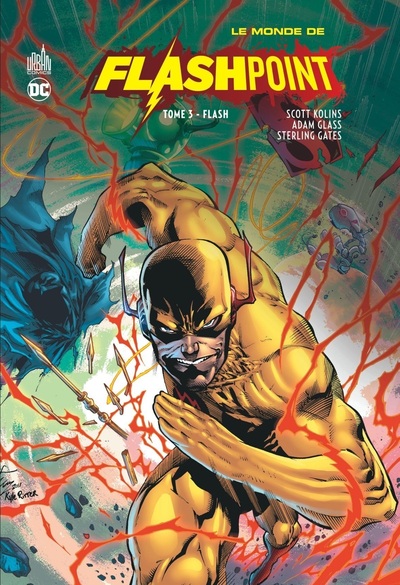 Image de Le Monde de Flashpoint tome 3 : Flash