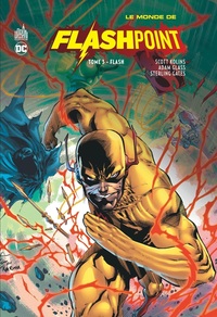 Image de Le Monde de Flashpoint tome 3 : Flash