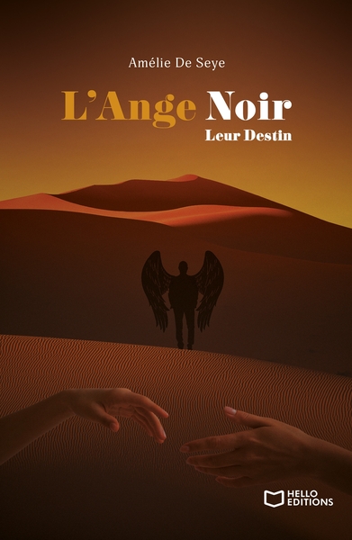 Image de L'Ange Noir - Tome III : Leur Destin