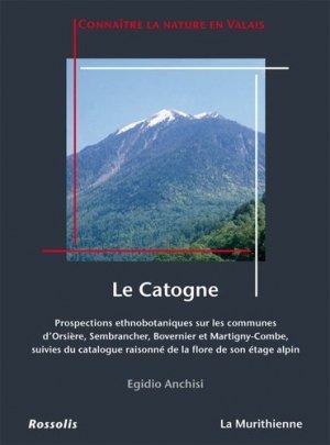 Image de CATOGNE