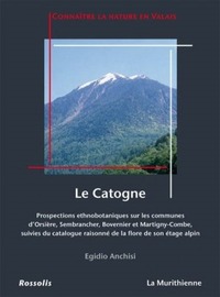 Image de CATOGNE