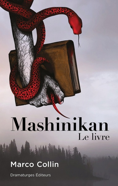 Picture of MASHINIKAN (LE LIVRE)