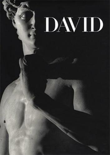 Picture of Michelangelo's David /anglais