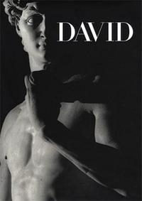 Picture of Michelangelo's David /anglais