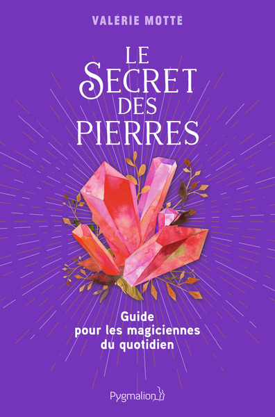 Image de Le Secret des pierres