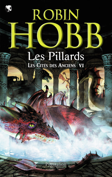 Image de Les Pillards