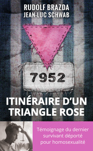 Picture of Itinéraire d'un triangle rose