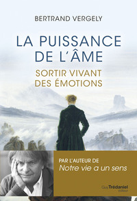 Image de La puissance de l'âme - Sortir vivant de l'émotion