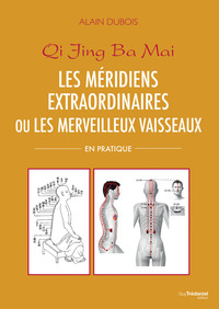 Picture of Les méridiens extraordinaires ou les merveilleux vaisseaux